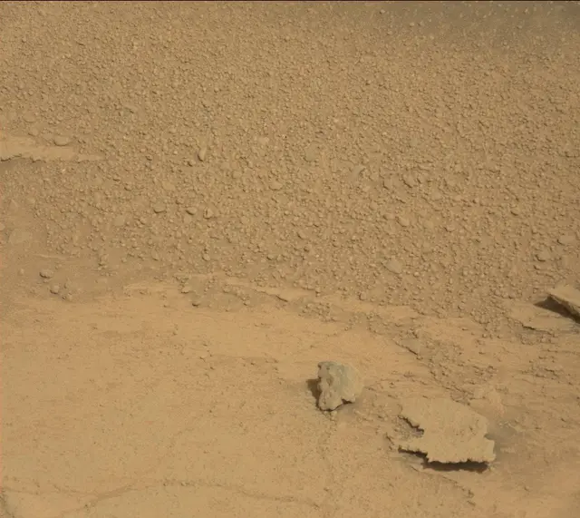 Sol 313: Mast Camera (Mastcam)