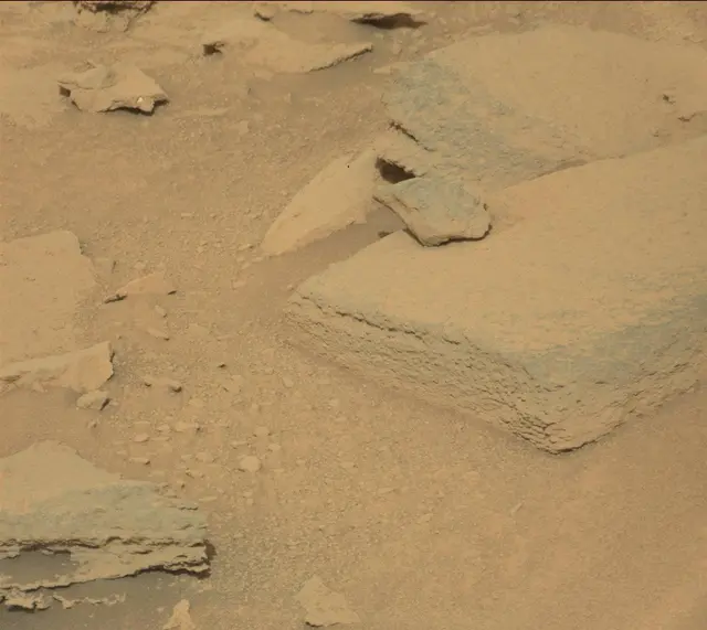 Sol 313: Mast Camera (Mastcam)
