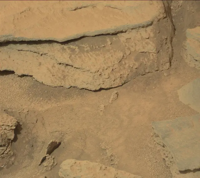 Sol 313: Mast Camera (Mastcam)