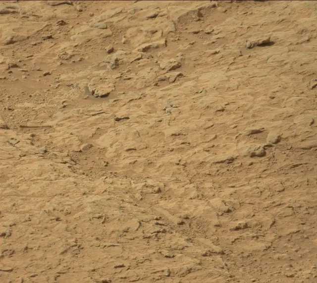 Sol 313: Mast Camera (Mastcam)