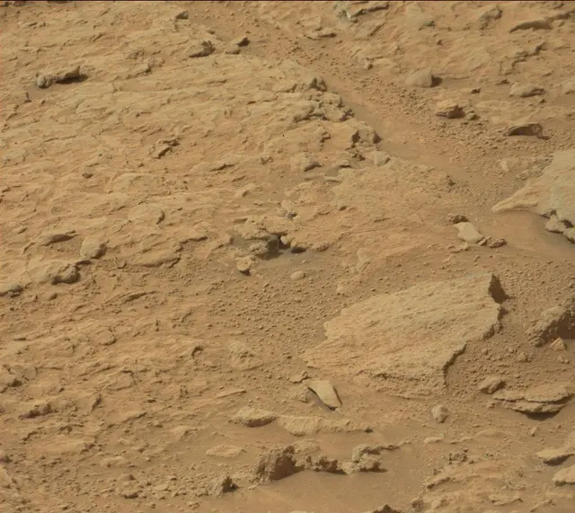 Sol 313: Mast Camera (Mastcam)