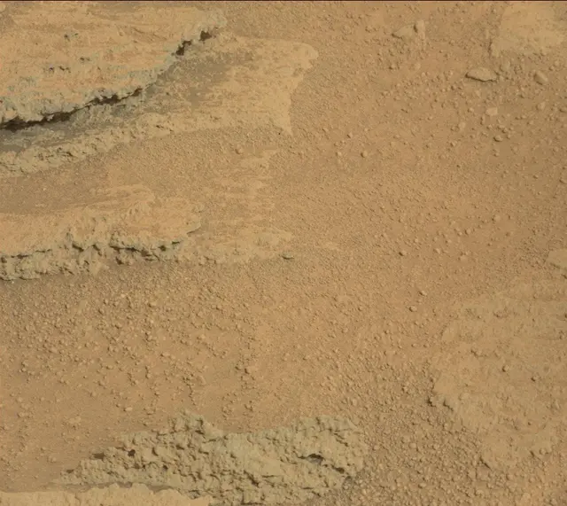 Sol 313: Mast Camera (Mastcam)