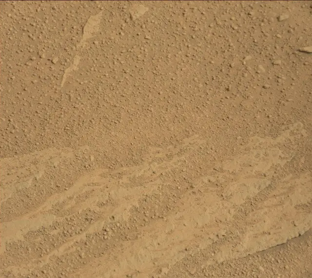 Sol 313: Mast Camera (Mastcam)