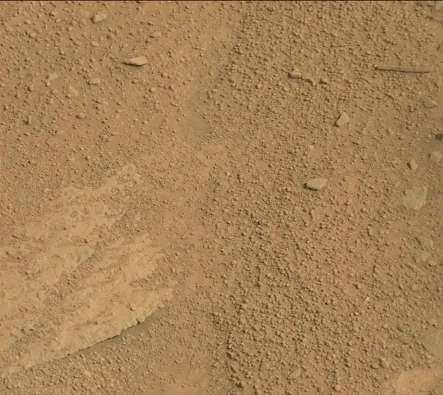 Sol 313: Mast Camera (Mastcam)