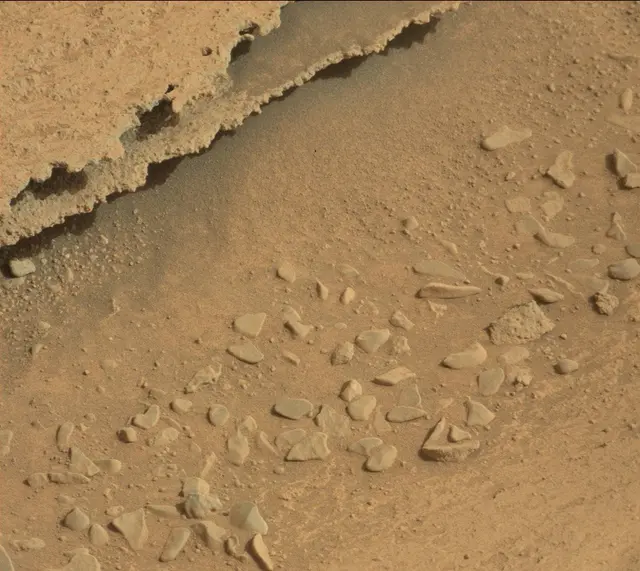 Sol 313: Mast Camera (Mastcam)