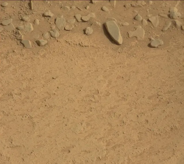 Sol 313: Mast Camera (Mastcam)