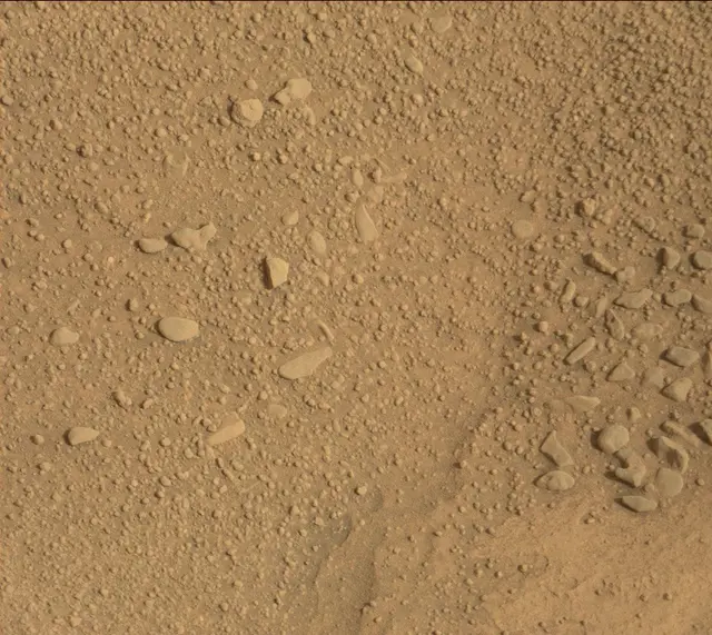 Sol 313: Mast Camera (Mastcam)