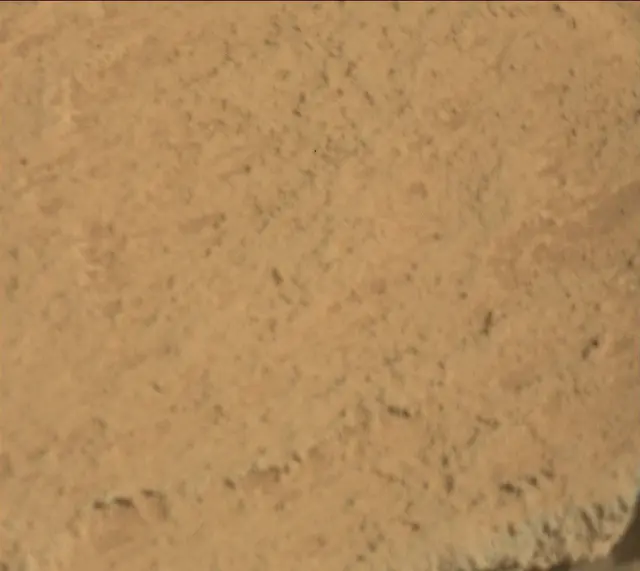 Sol 313: Mast Camera (Mastcam)