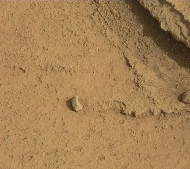 Sol 313: Mast Camera (Mastcam)