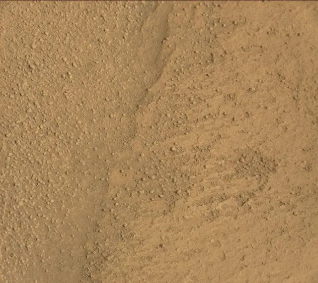 Sol 313: Mast Camera (Mastcam)