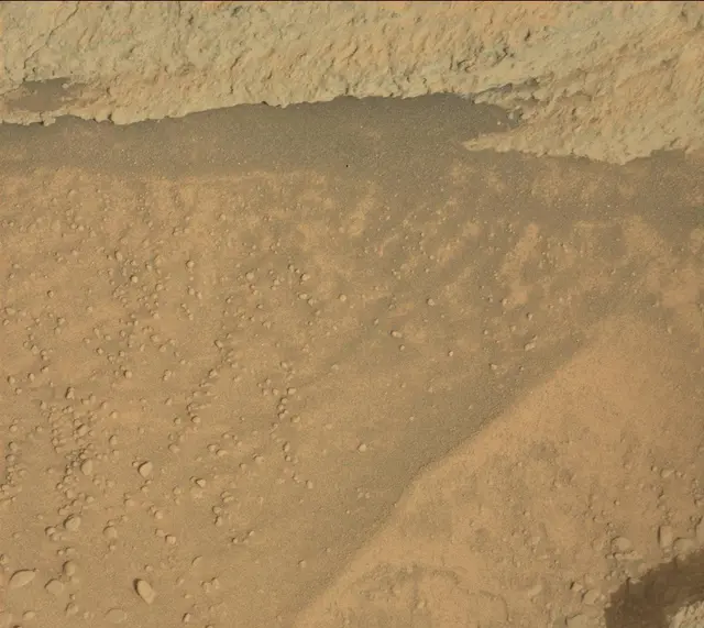 Sol 313: Mast Camera (Mastcam)