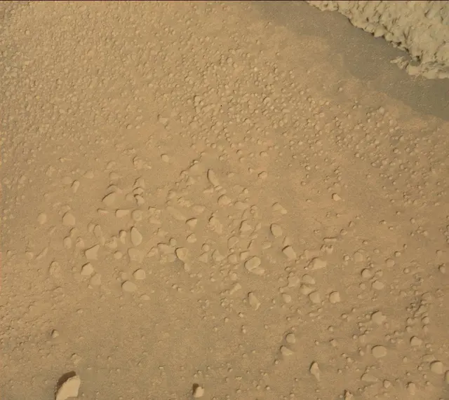 Sol 313: Mast Camera (Mastcam)