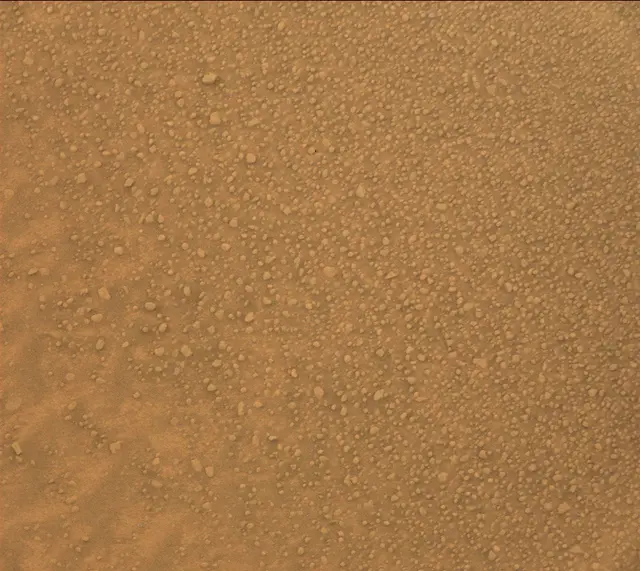 Sol 313: Mast Camera (Mastcam)