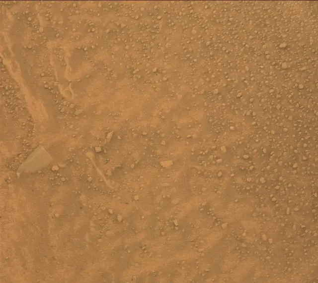 Sol 313: Mast Camera (Mastcam)