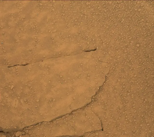 Sol 313: Mast Camera (Mastcam)