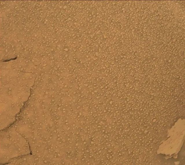 Sol 313: Mast Camera (Mastcam)
