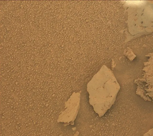 Sol 313: Mast Camera (Mastcam)