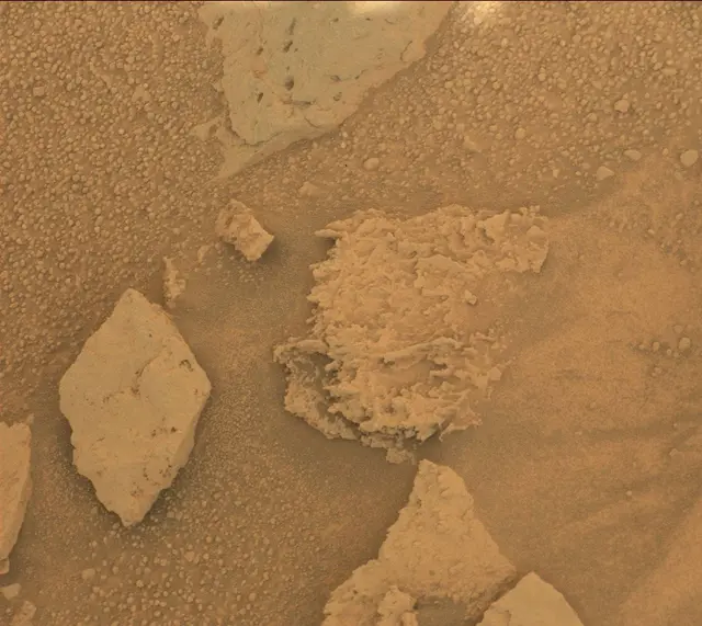 Sol 313: Mast Camera (Mastcam)