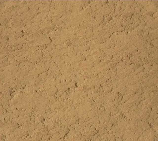 Sol 313: Mast Camera (Mastcam)