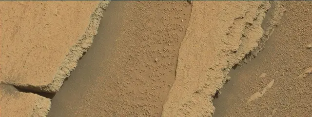 Sol 314: Mast Camera (Mastcam)