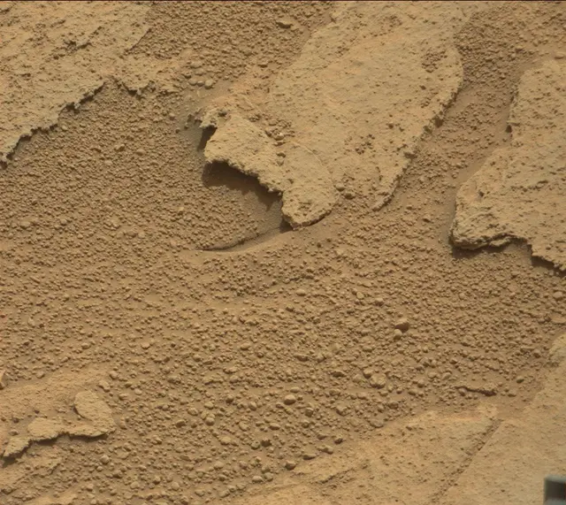Sol 314: Mast Camera (Mastcam)