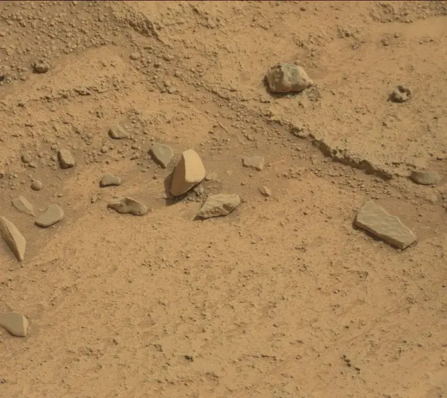 Sol 314: Mast Camera (Mastcam)