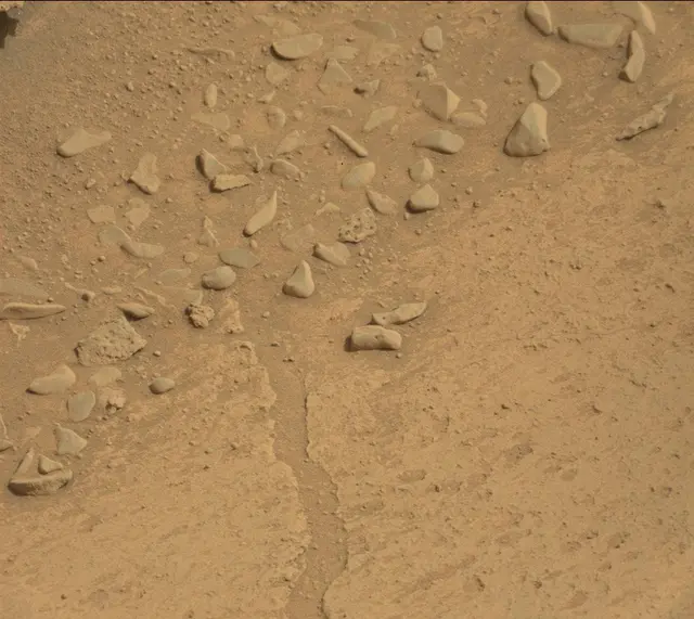 Sol 314: Mast Camera (Mastcam)