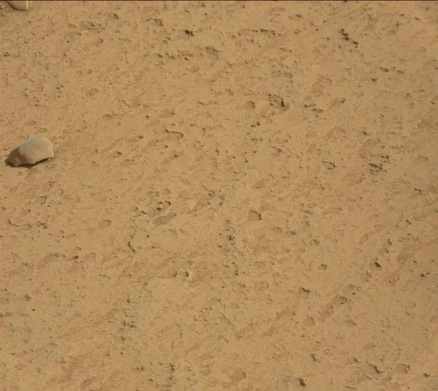 Sol 314: Mast Camera (Mastcam)