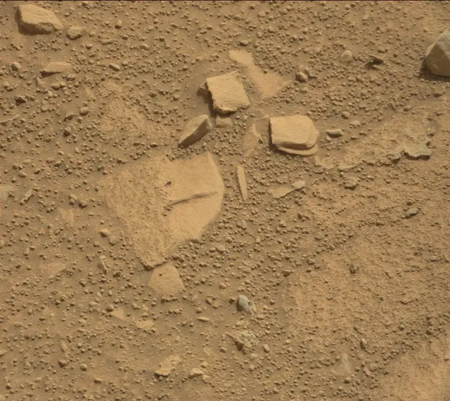 Sol 314: Mast Camera (Mastcam)