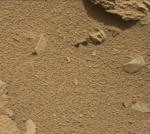 Sol 314: Mast Camera (Mastcam)