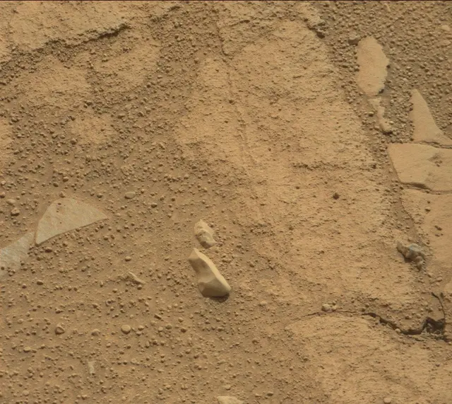 Sol 314: Mast Camera (Mastcam)