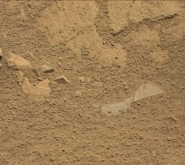 Sol 314: Mast Camera (Mastcam)