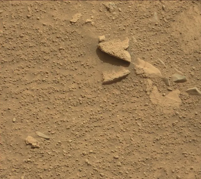 Sol 314: Mast Camera (Mastcam)