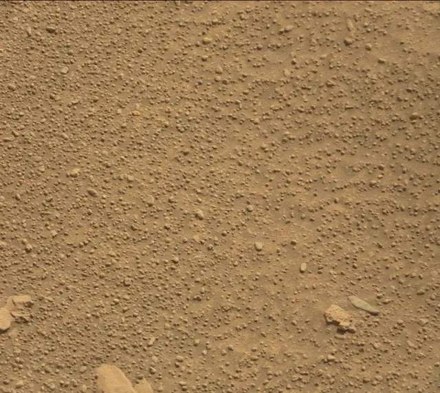 Sol 314: Mast Camera (Mastcam)