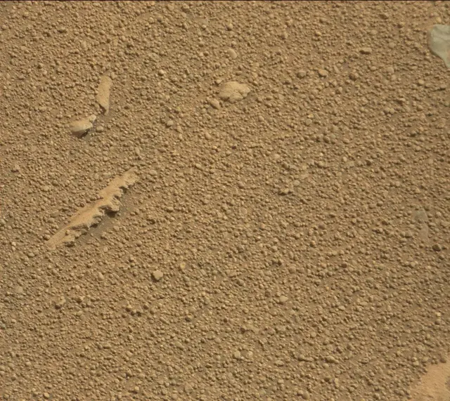 Sol 314: Mast Camera (Mastcam)