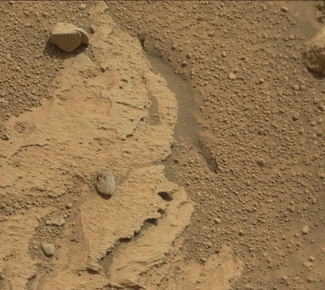 Sol 314: Mast Camera (Mastcam)