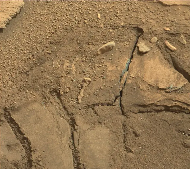 Sol 314: Mast Camera (Mastcam)