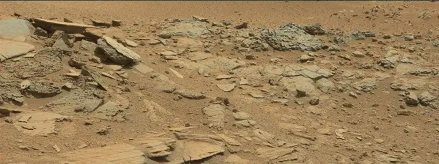 Sol 315: Mast Camera (Mastcam)