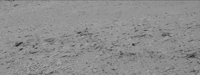 Sol 315: Mast Camera (Mastcam)
