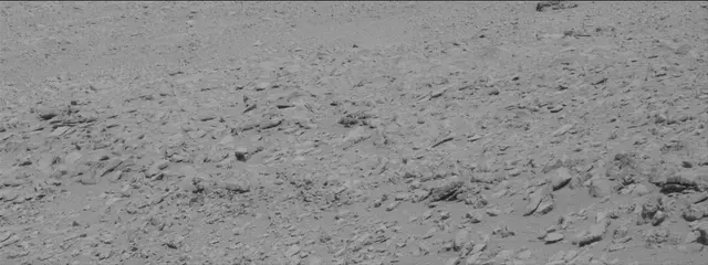 Sol 315: Mast Camera (Mastcam)