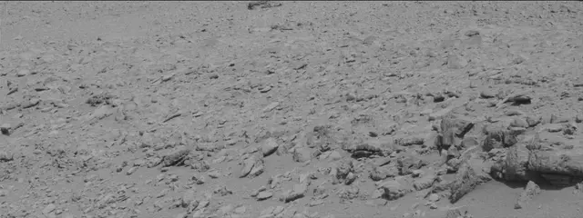 Sol 315: Mast Camera (Mastcam)