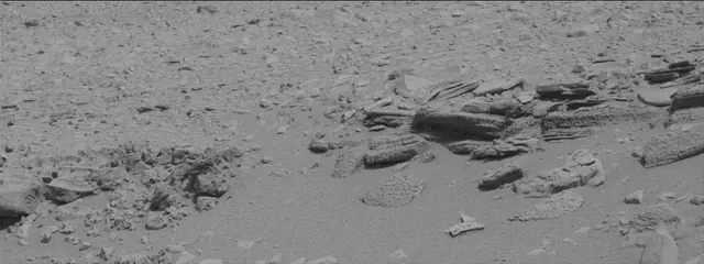 Sol 315: Mast Camera (Mastcam)