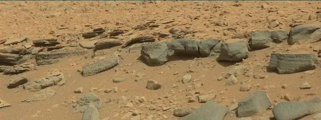 Sol 315: Mast Camera (Mastcam)