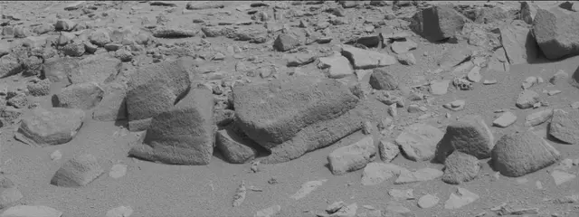 Sol 315: Mast Camera (Mastcam)