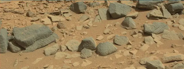 Sol 315: Mast Camera (Mastcam)