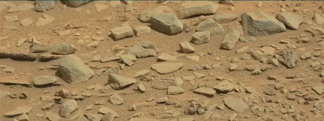 Sol 315: Mast Camera (Mastcam)