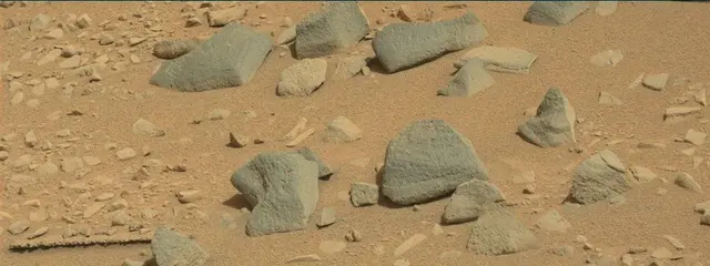 Sol 315: Mast Camera (Mastcam)