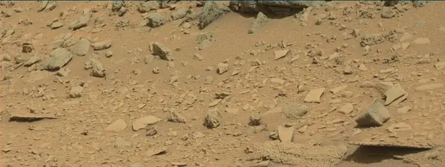 Sol 315: Mast Camera (Mastcam)