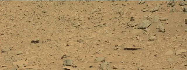 Sol 315: Mast Camera (Mastcam)