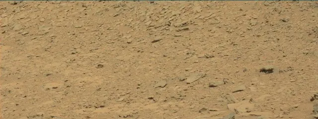 Sol 315: Mast Camera (Mastcam)